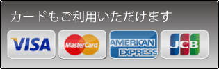 カードもご利用いただけます　利用可能カードVISA　Master　AMERICAN EXPRESS　JCB